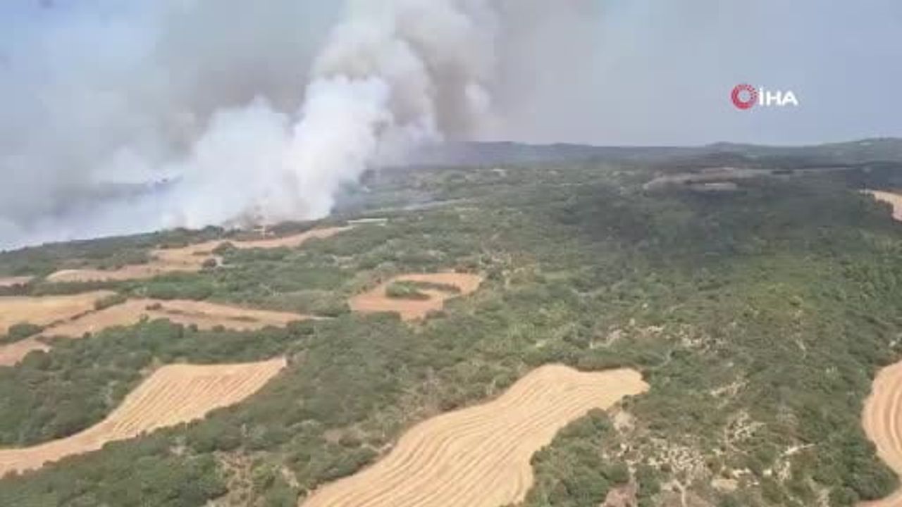 Aragon'da orman yangını 11 bin dönümden fazla alanı kül etti