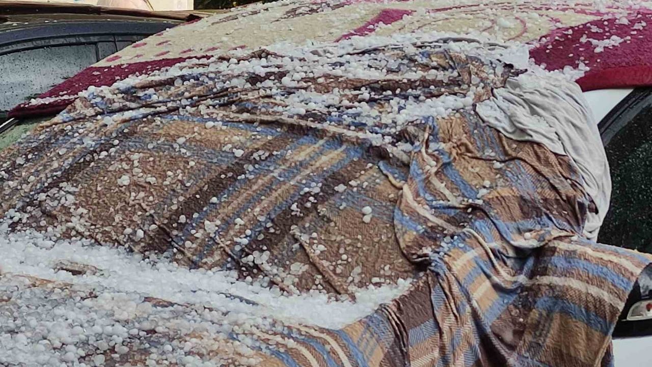 Ardahan'da doluya karşı araçlar battaniyeyle korundu