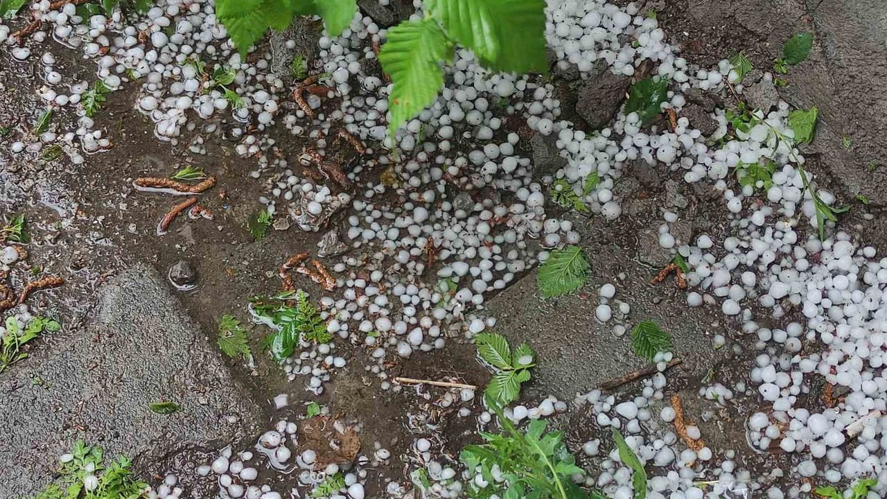 Ardahan'da sağanak ve dolu yağışı tarım arazilerine zarar verdi