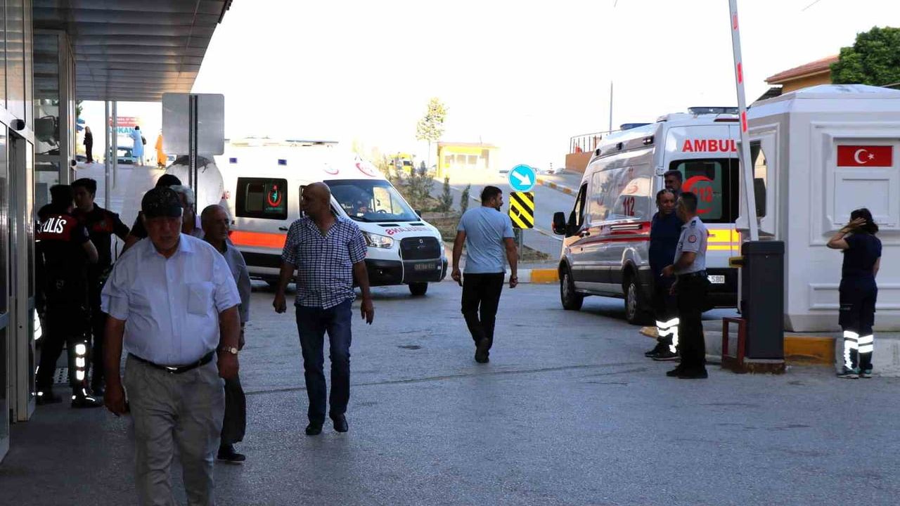 Arı sokmalarında ağır alerjik reaksiyonlar ölüm riski taşıyabilir