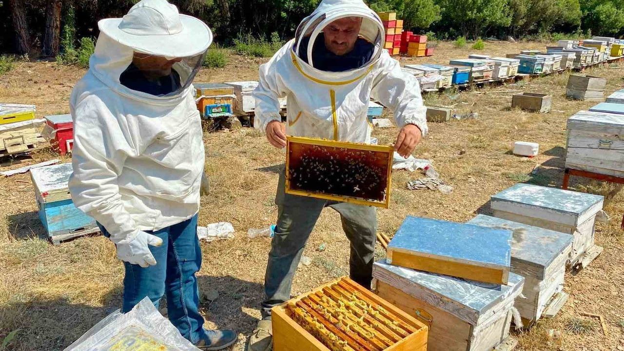Arıcı işletmelerinde saha denetimleriyle kovan kayıtları güncelleniyor