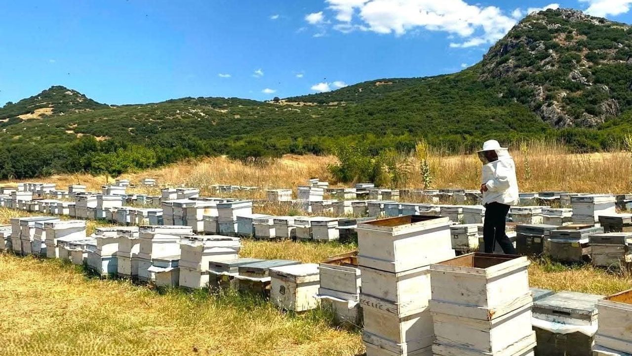 Arıcılık Kayıt Sistemi güncelleme çalışmaları sürüyor