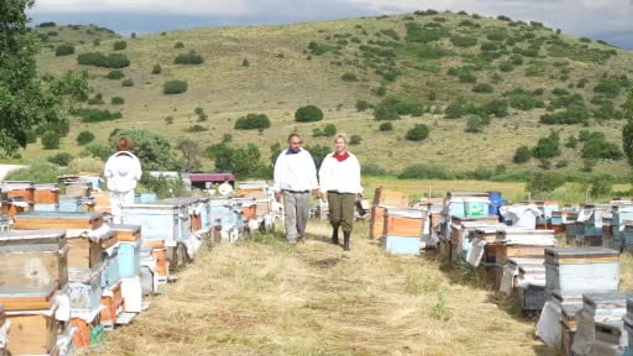 Arıların izinde bir ömür: karavan desteği gezgin arıcı aileye nefes oldu