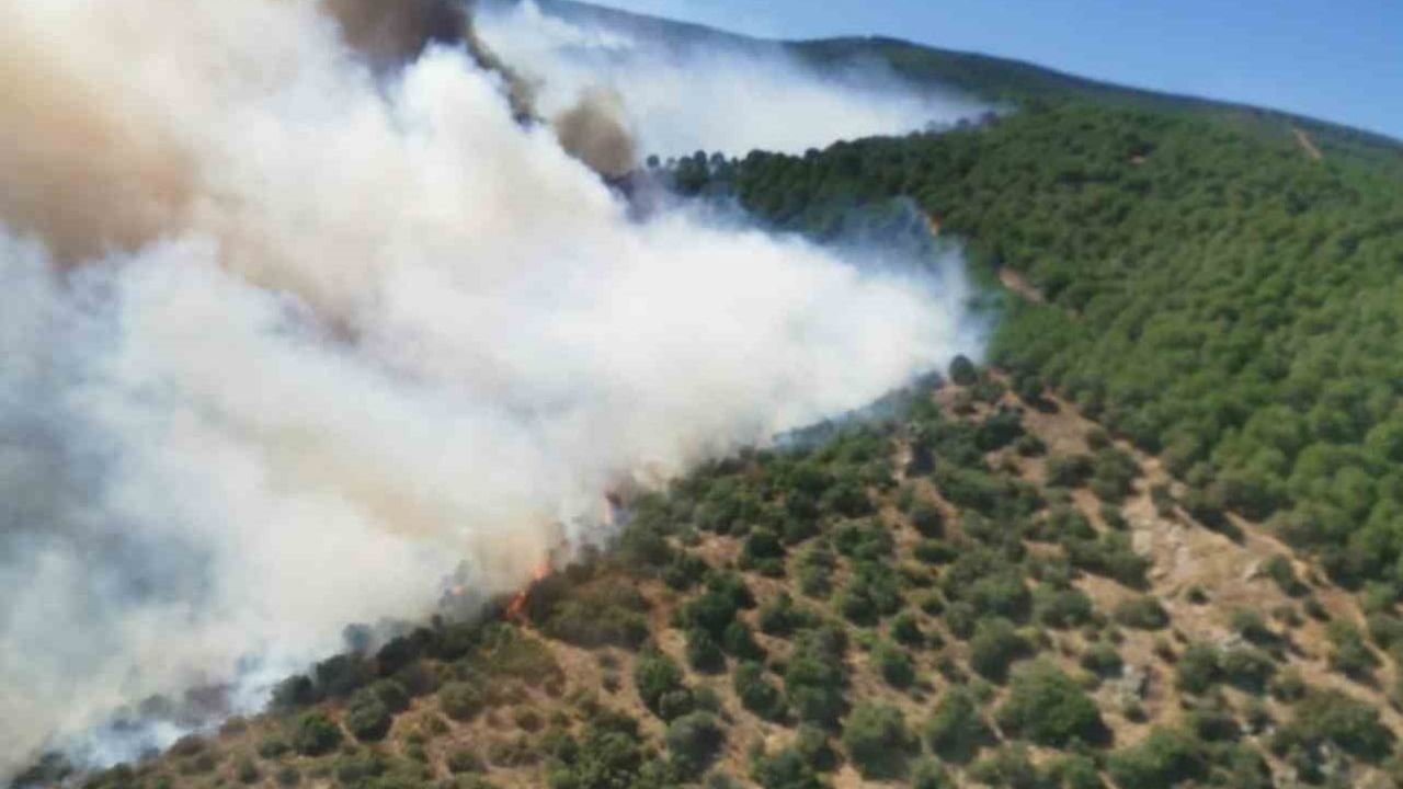 Armutlu'da orman yangını söndürüldü, soğutma ve inceleme çalışmaları sürüyor