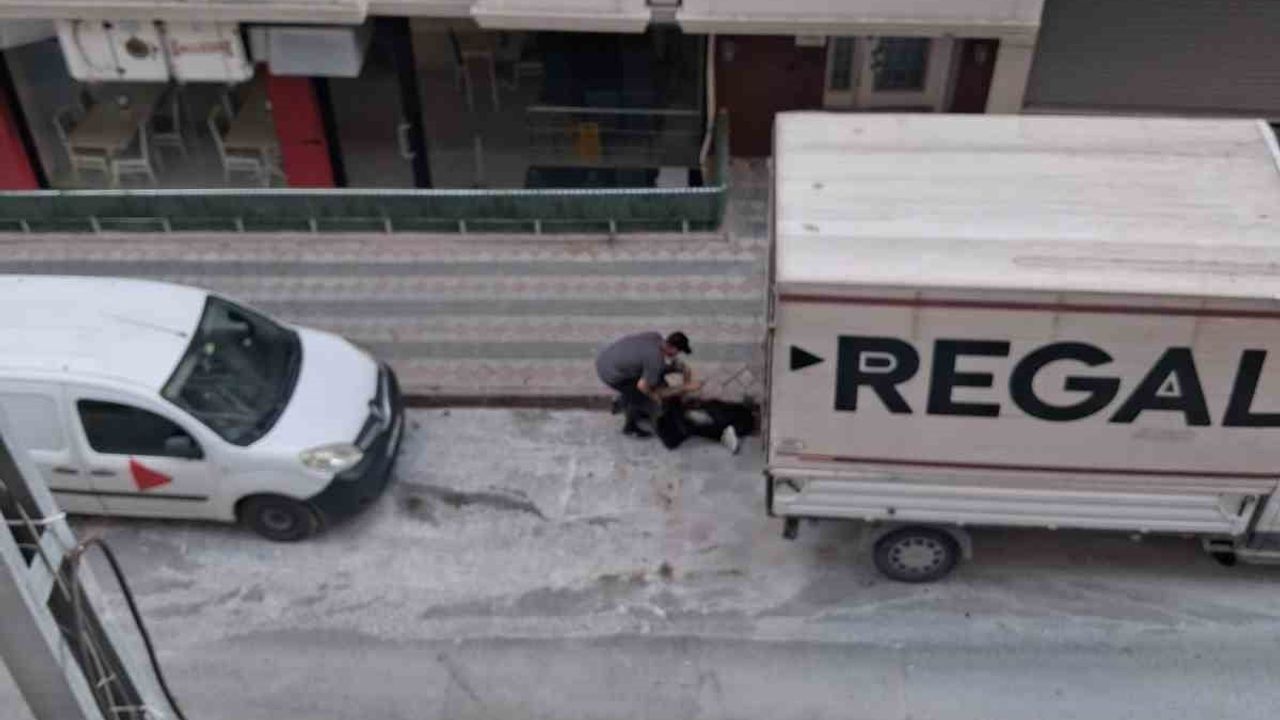 Arnavutköy'de alkollü kişi kamyonet kasasına defalarca vurup bayıldı