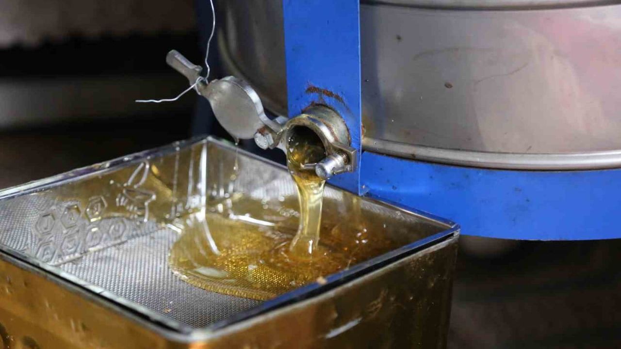 Artvin'de 2026 bal taban alım fiyatları açıklandı