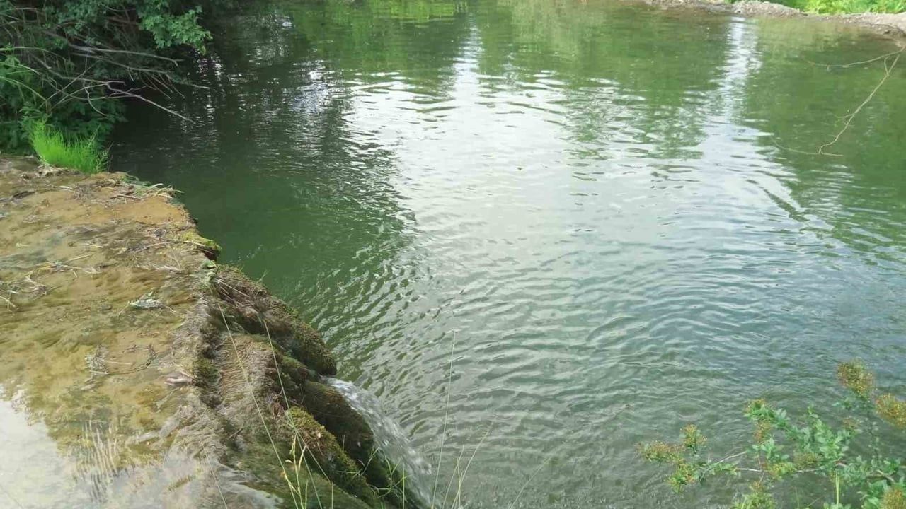 Atayurt şelalesine kamelya ve piknik alanı talebi