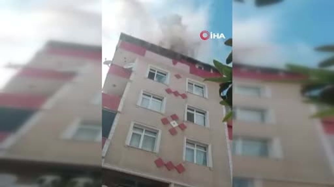 Avcılar'da çatı yangınında terasta mahsur kalan kediler aşağı atlayarak kurtuldu