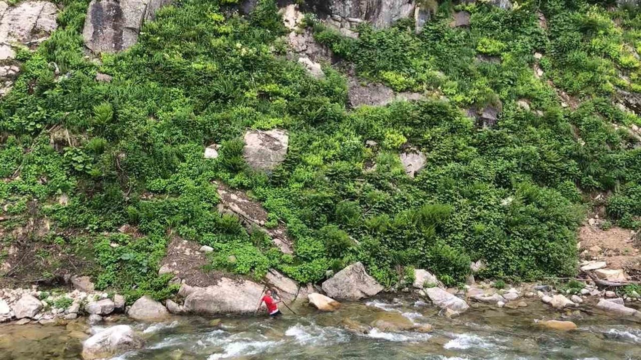 Ayder'de papağanını kurtardı, dönüşte mahsur kaldı
