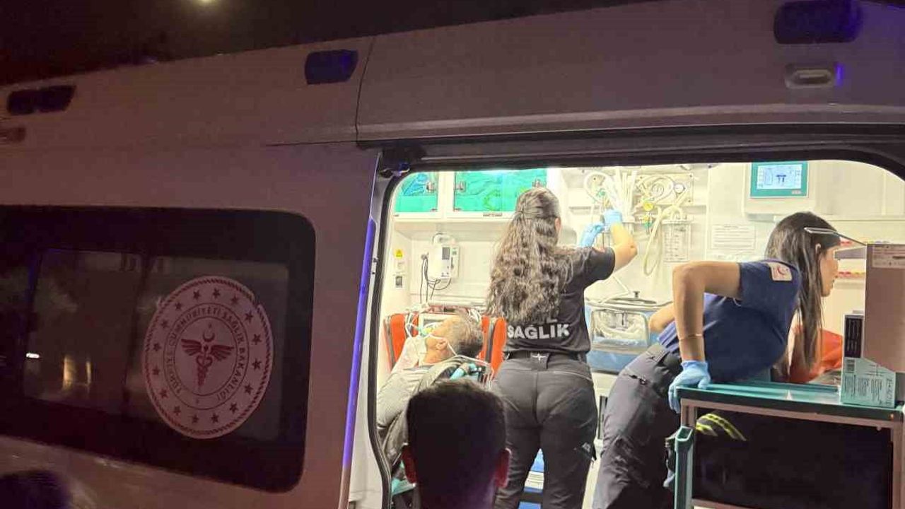 Aydın'da gece yangını: Efeler'deki zeytinlikte 200 ağaç zarar gördü