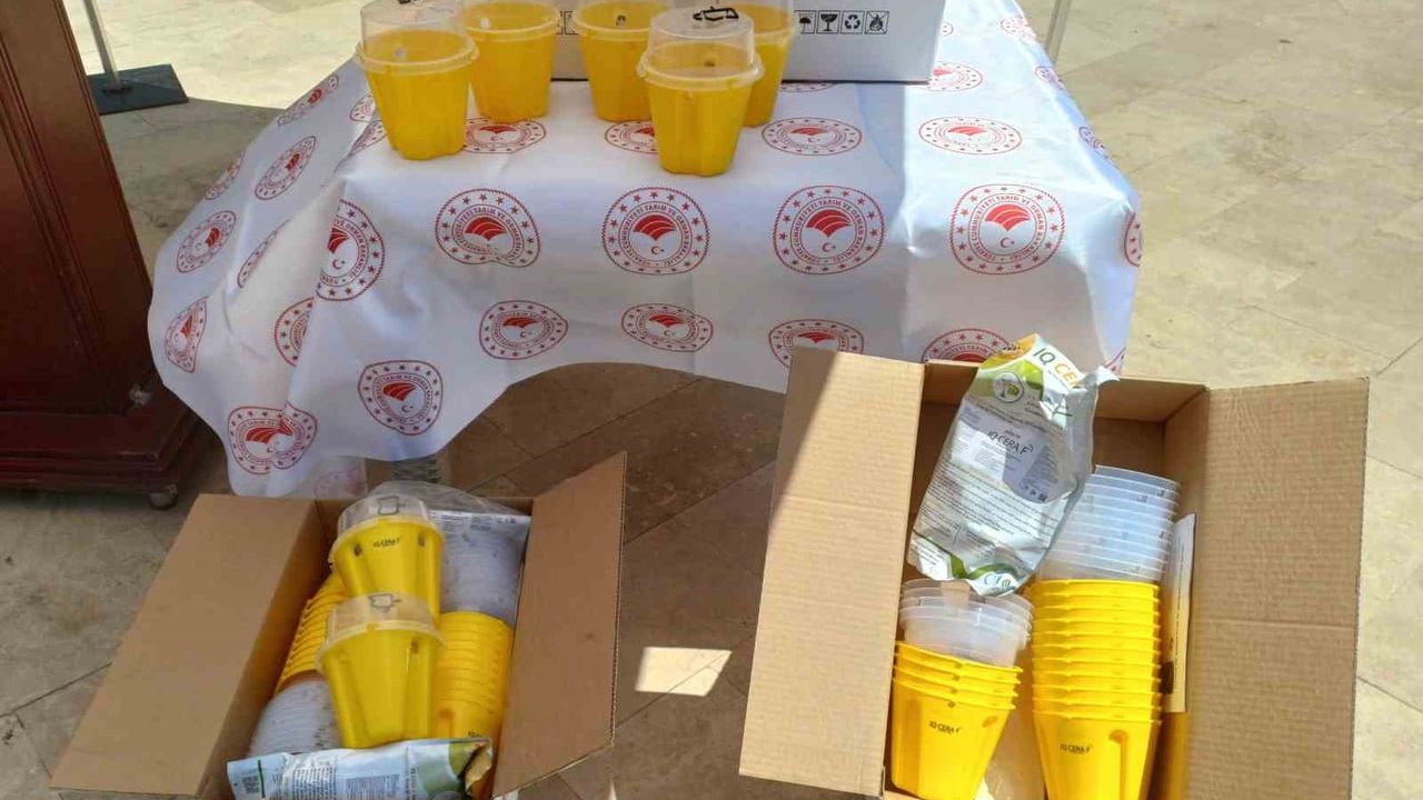 Aydın'da sürdürülebilir mücadele: 13 bin 600 biyoteknik tuzak üreticilere ulaştı