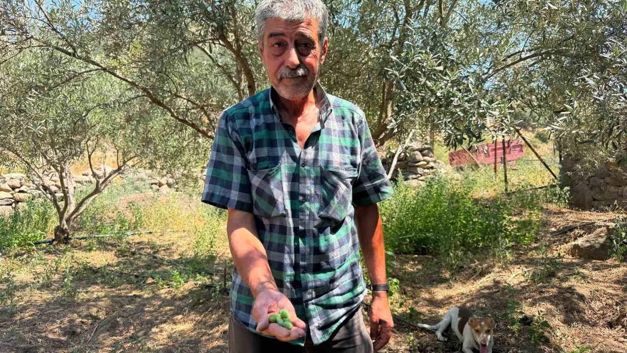 Ayvacık köyünde yüz yıllık su sorunu çözülerek Menemen Belediyesi sulama hizmeti başlattı