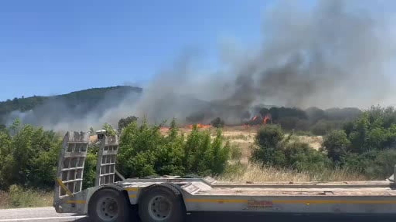 Ayvacık’ta orman yangını