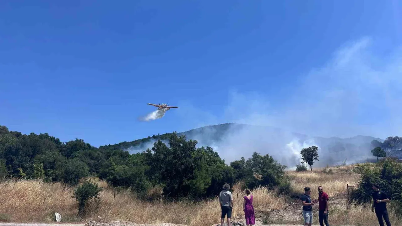 Ayvacık'ta orman yangını kontrol altına alındı