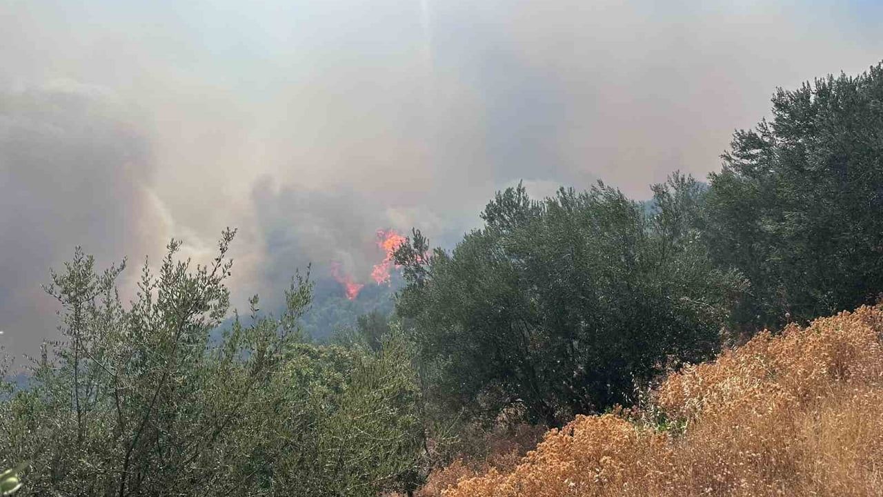 Ayvacık'ta rüzgarın etkisiyle araziden ormana sıçrayan yangın müdahale sürüyor