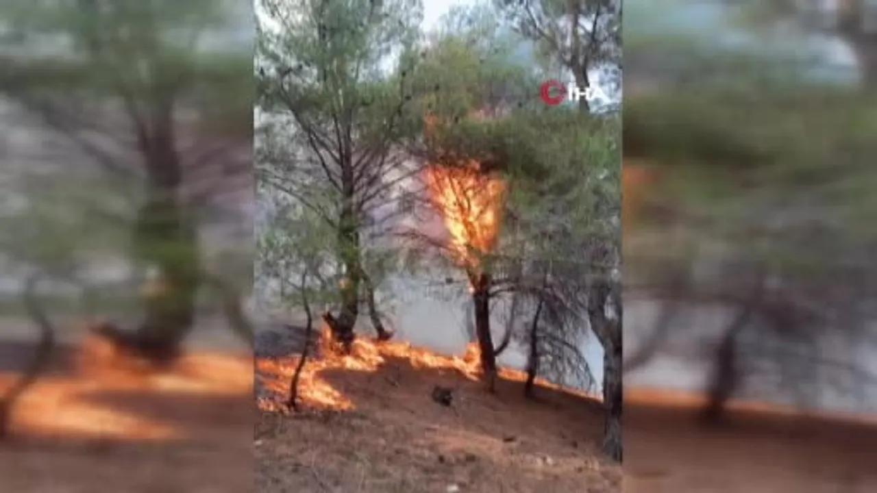Ayvalık’ta Çamoba orman yangını koordineli müdahaleyle kontrol altına alındı