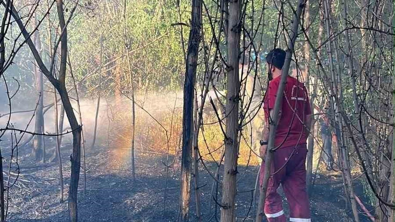 Bahçe yangını ekiplerin müdahalesiyle ormanlık alana sıçramadan söndürüldü