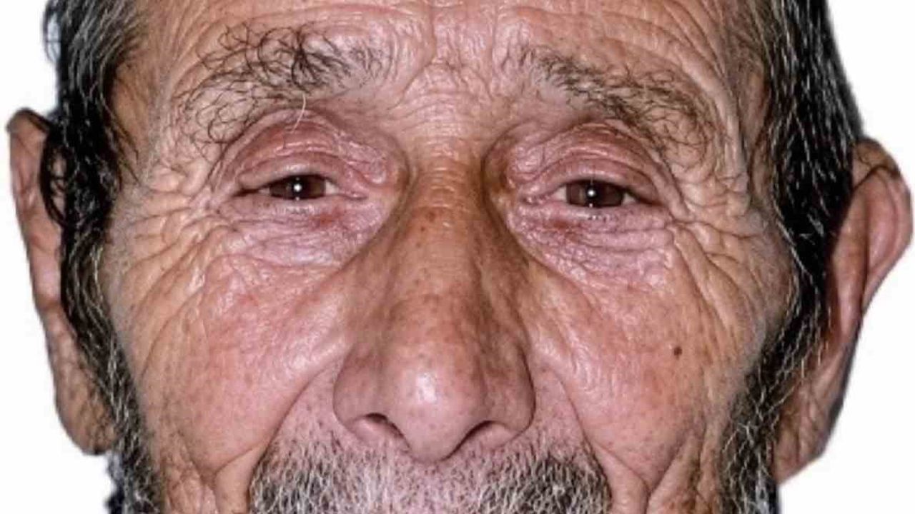Bahçede kestiği ağacın altında kalan yaşlı adam hayatını kaybetti