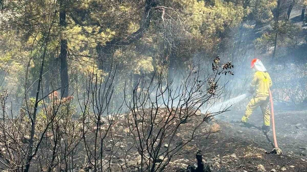 Balıkesir'de arazi yangınına orman ve itfaiye ekipleri müdahale etti