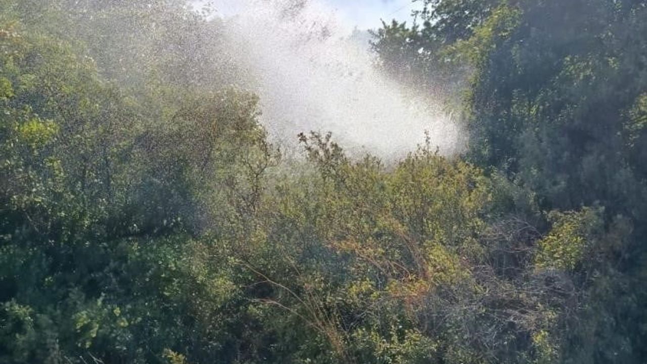 Balıkesir'de beş noktada ziraat alanı yangınına müdahale edildi