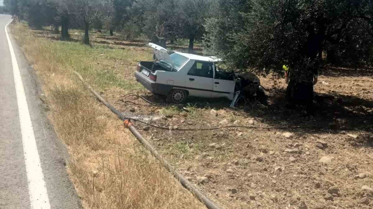 Balıkesir’de otomobil zeytin ağacına çarptı: 2 yaralı