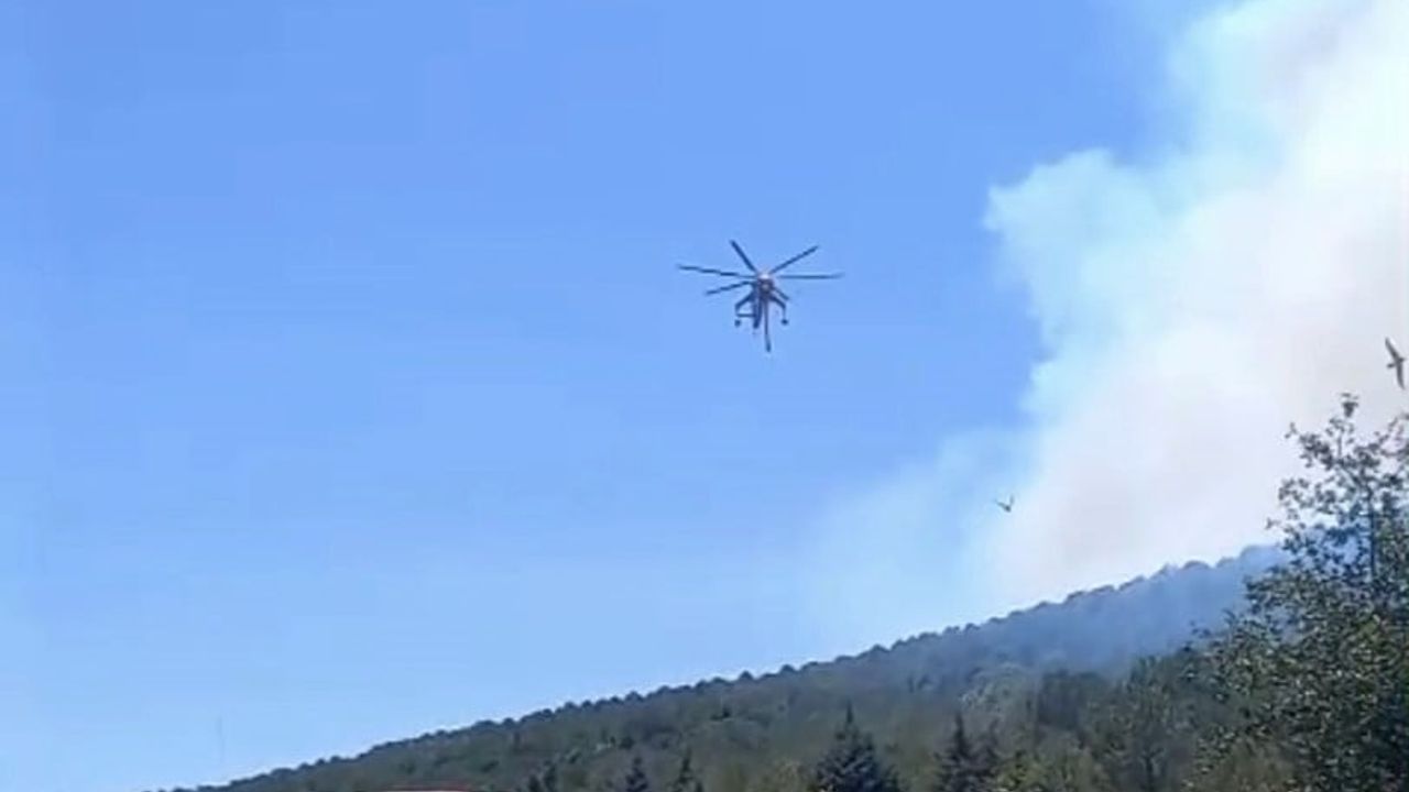 Balıkesir’de rüzgarla tırmanan yangına gömeç ve sındırgıdan iki yönlü müdahale