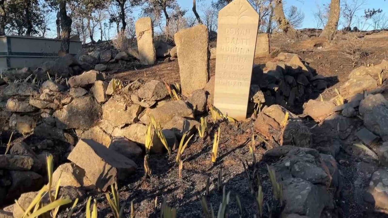 Balıkesir yangını Tıfıllar Köyü mezarlığında ağır tahribat bıraktı