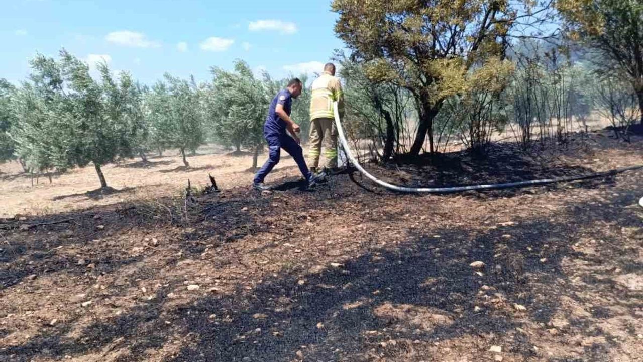 Balya makinesindeki yangın tarlaya sıçradı