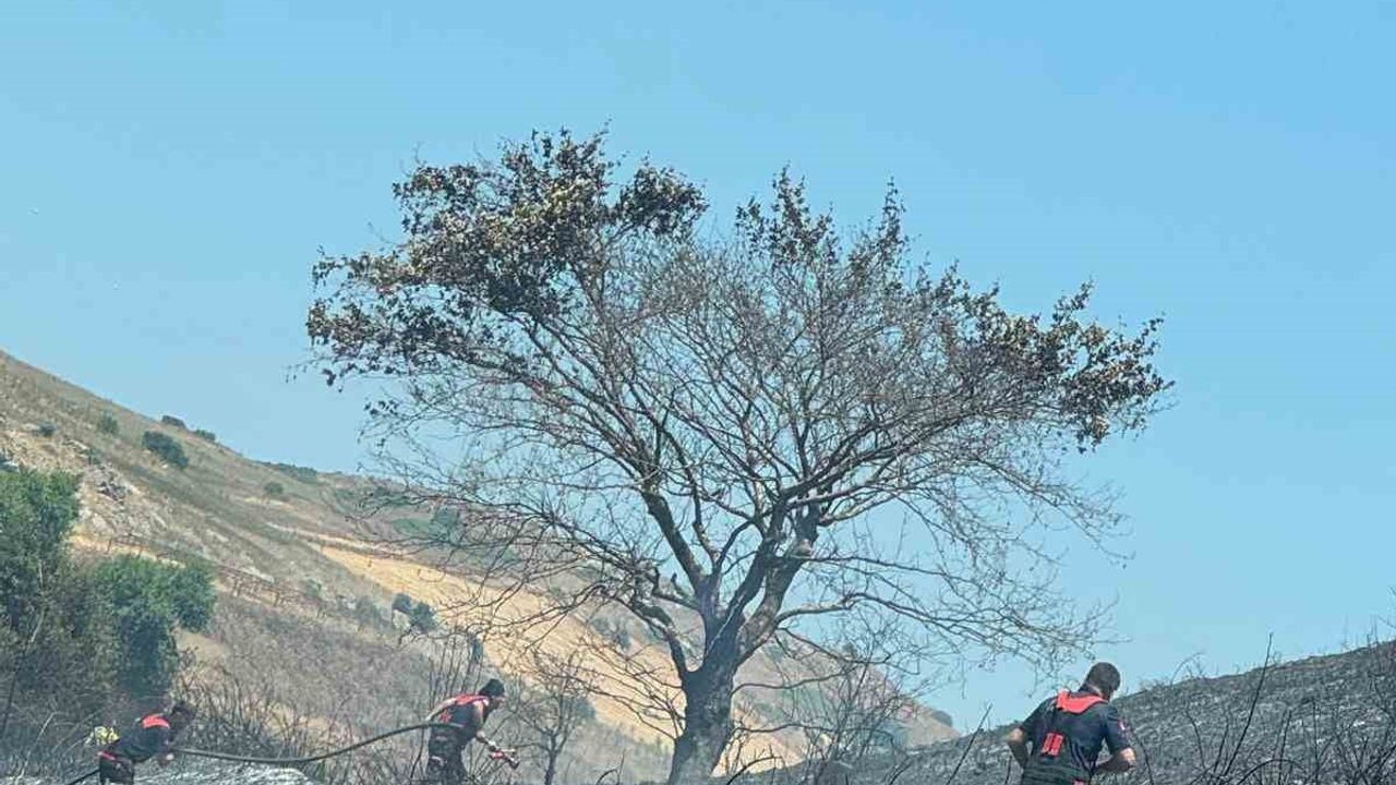 Bandırma'da 4 noktada çıkan arazi ve kanola tarlası yangını söndürüldü