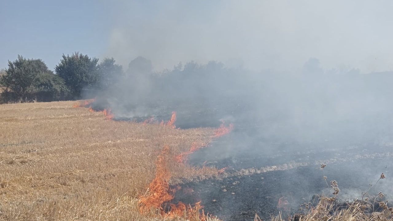 Bandırma'da anız ve çalılık yangını itfaiye tarafından söndürüldü