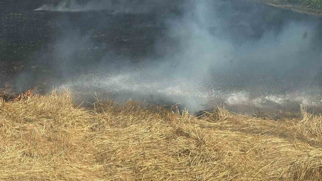 Bandırma’da anız yangını büyümeden söndürüldü