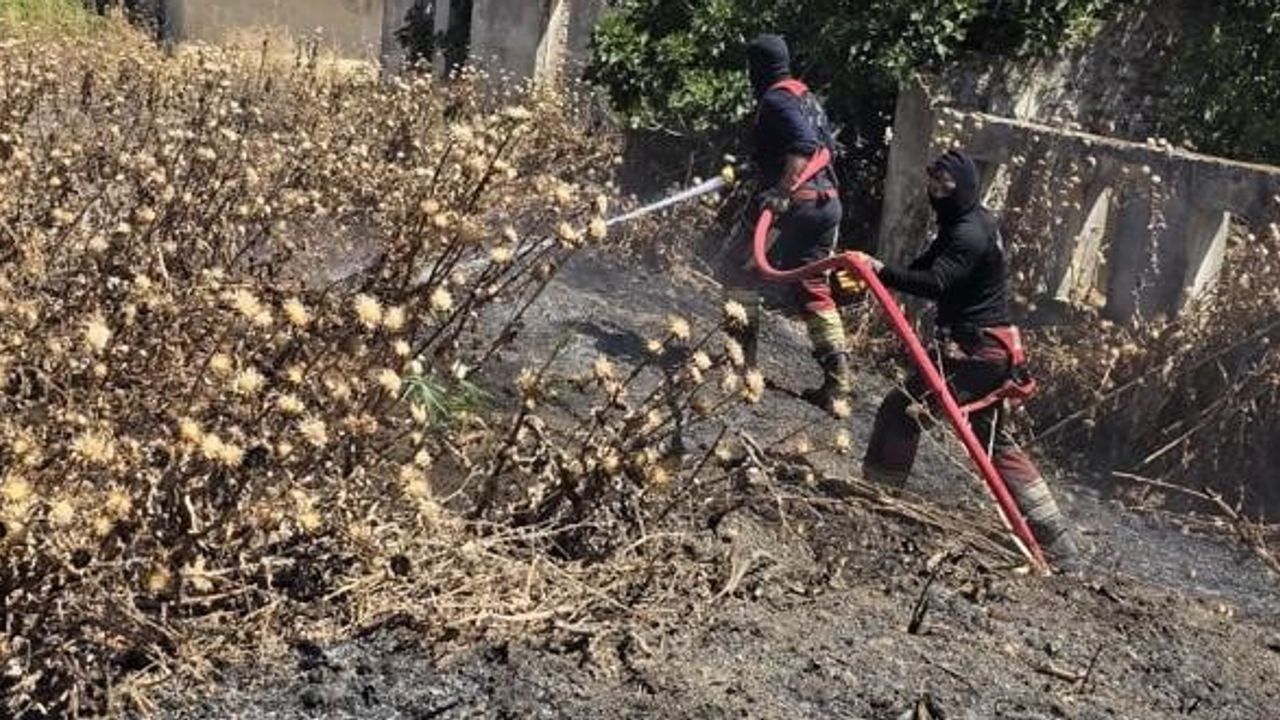 Bandırma'da ekip iş birliğiyle arazi yangını kısa sürede söndürüldü