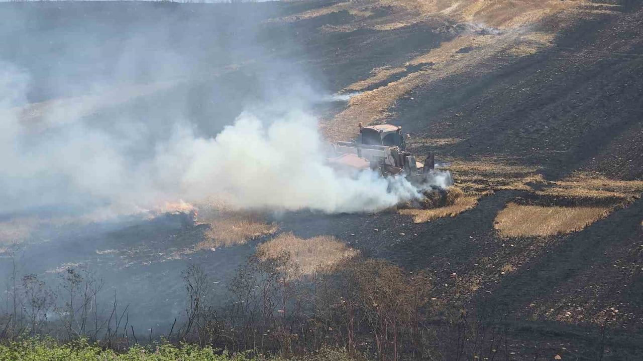 Bandırma'da otluk yangını tarım arazilerine zarar verdi