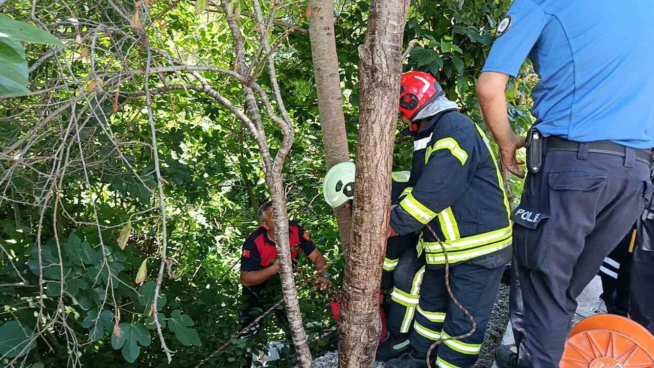 Bartın'da baygınlık geçiren 66 yaşındaki adam çalılıklara düştü