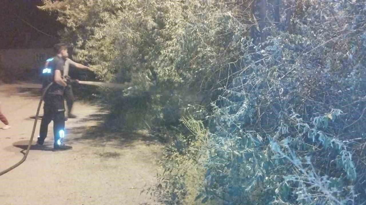 Başkale'de bahçe yangını itfaiyenin hızlı müdahalesiyle kontrol altına alındı