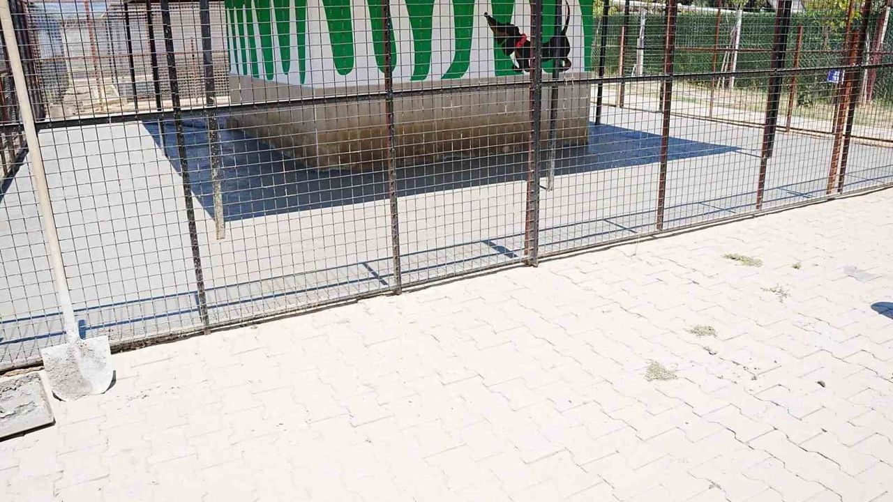Başkan Zencirci’den Sokak Hayvanları Rehabilitasyon Merkezi’ne inceleme