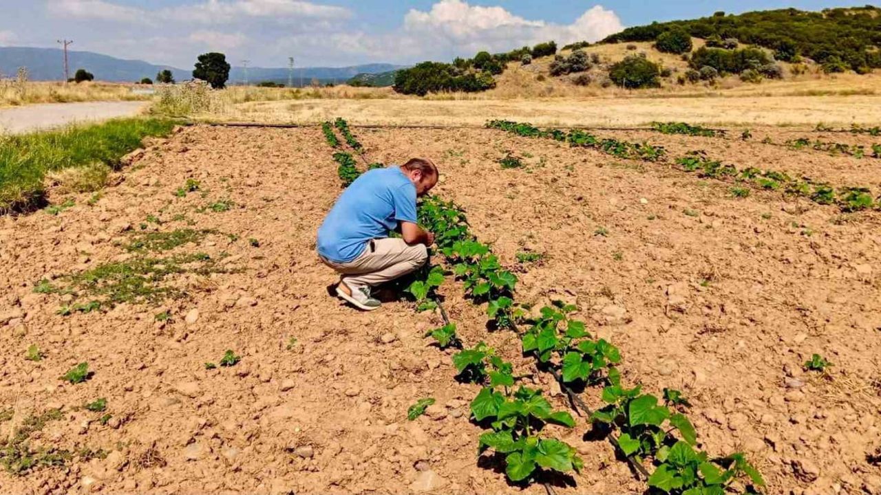 Başmakçı'da kaliteyi korumak için sebze alanlarında düzenli kontroller
