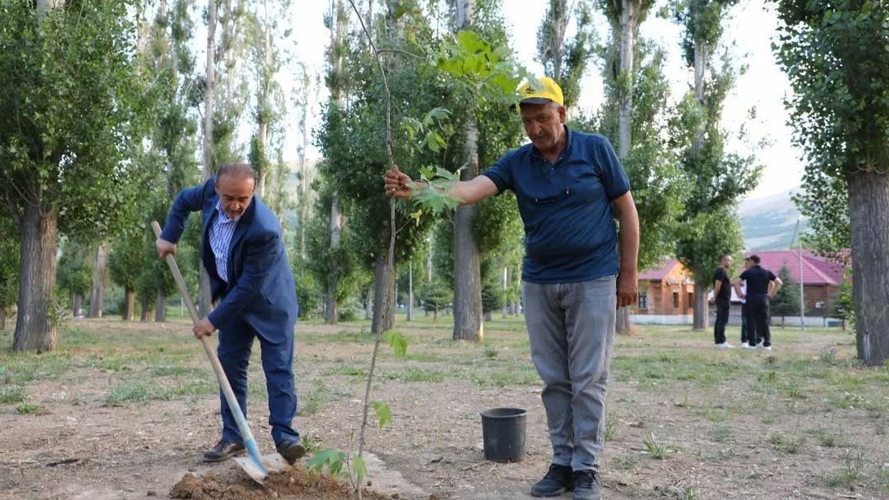 Bayburt'ta 15 Temmuz anısına doğa yürüyüşü ve fidan dikimi