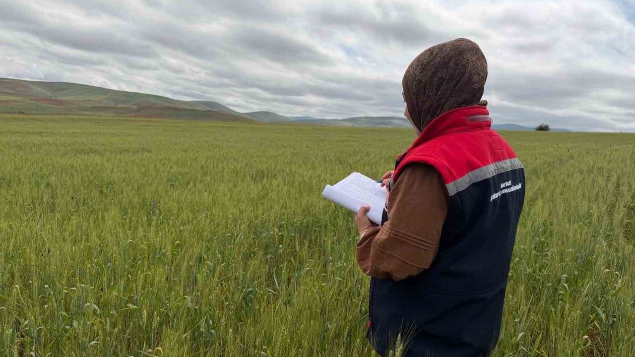 Bayburt’ta ürün tespit çalışmaları sürüyor