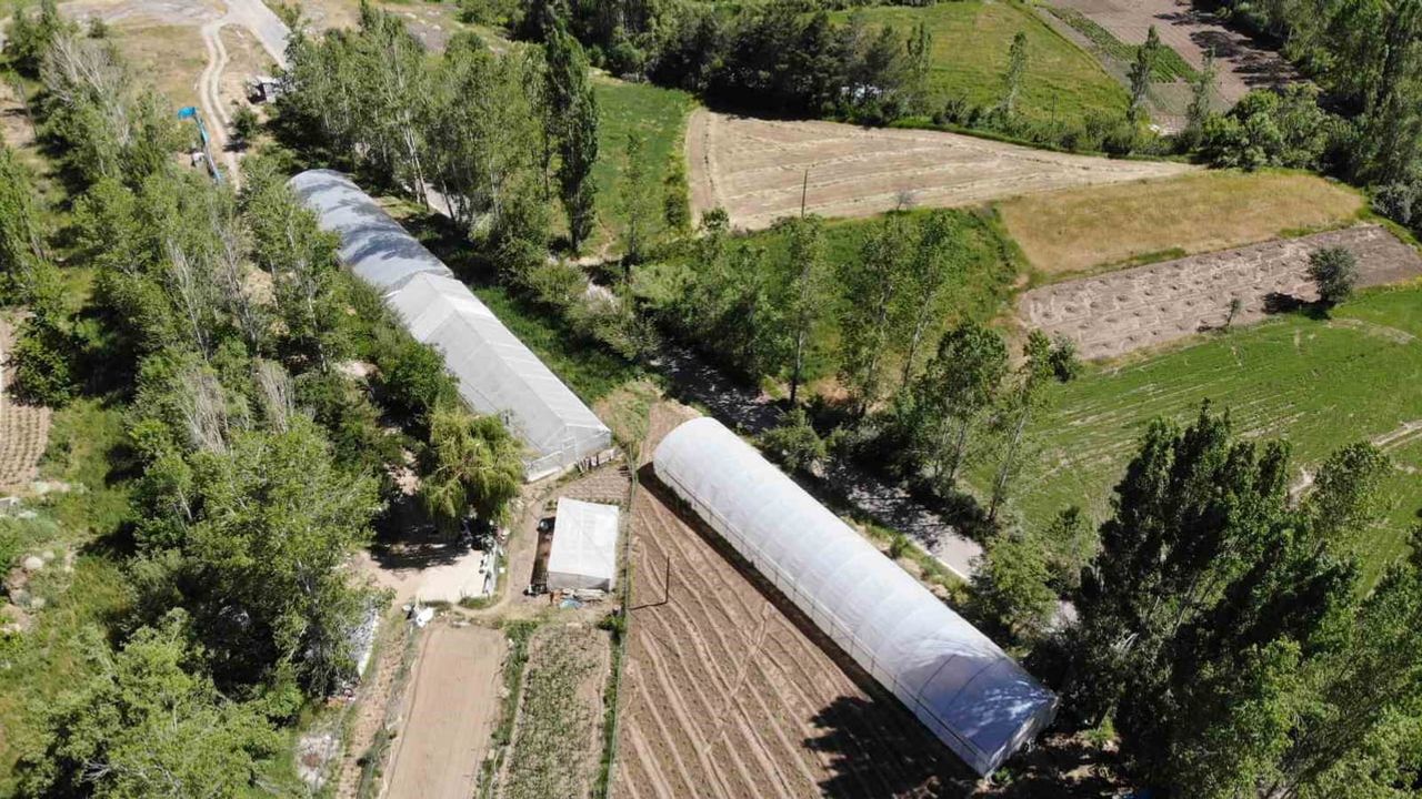 Bayburt'ta yüzde 70 hibeli sera projesi başvuruları 13 temmuz 2026'da başlıyor