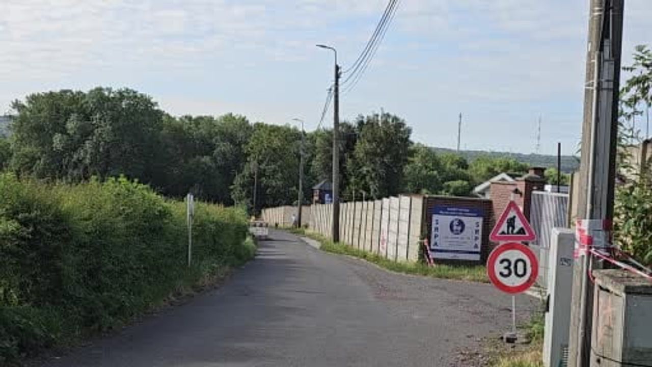Belçika’da vakıf kültürü ve mevzuat sokak köpeklerini ortadan kaldırdı