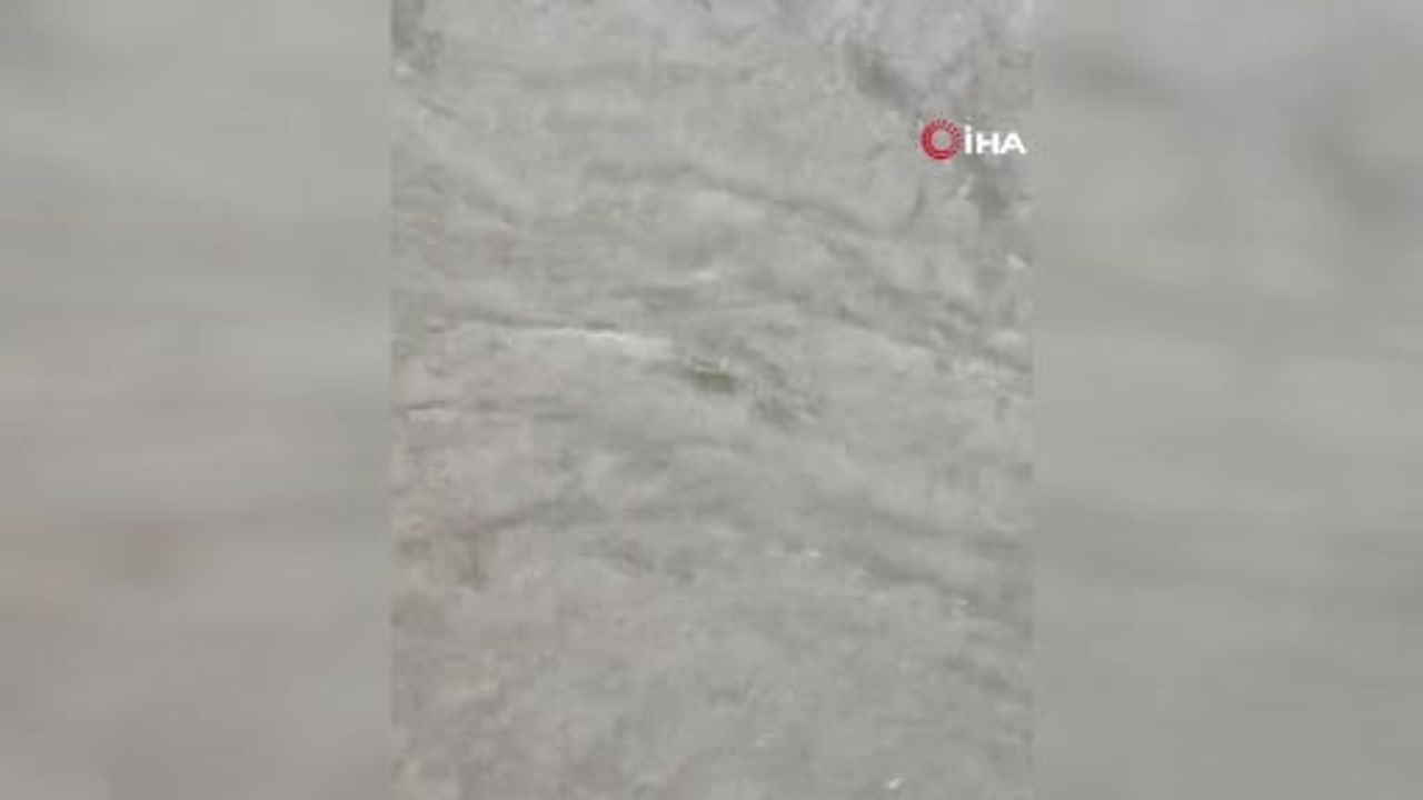 Beşiktaş'ta sağanakta kadın sel sularından vatandaşlar tarafından kurtarıldı