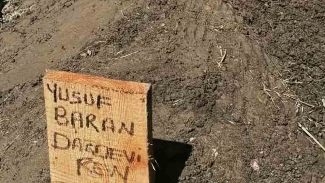 Beylikdüzü’nde silahlı saldırı sonrası kaza yapıp yaşamını yitiren Baran Yusuf Dağdeviren’in failleri yakalandı