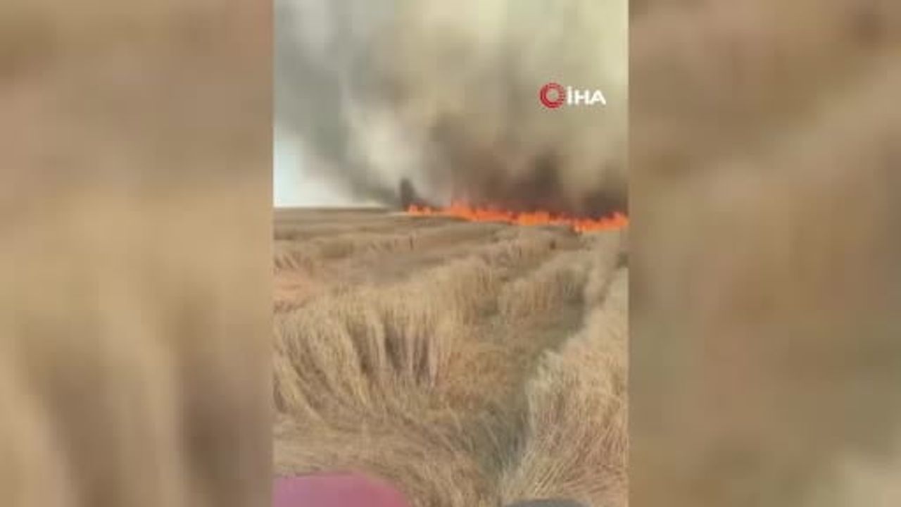 Beypazarı’nda 1.500 dönüm ekili arazi yangında zarar gördü