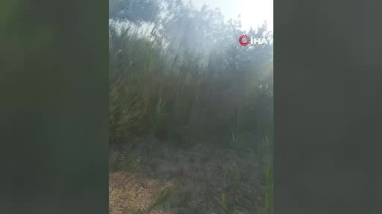 Beypazarı'nda ağaçlık alanda çıkan yangın söndürüldü