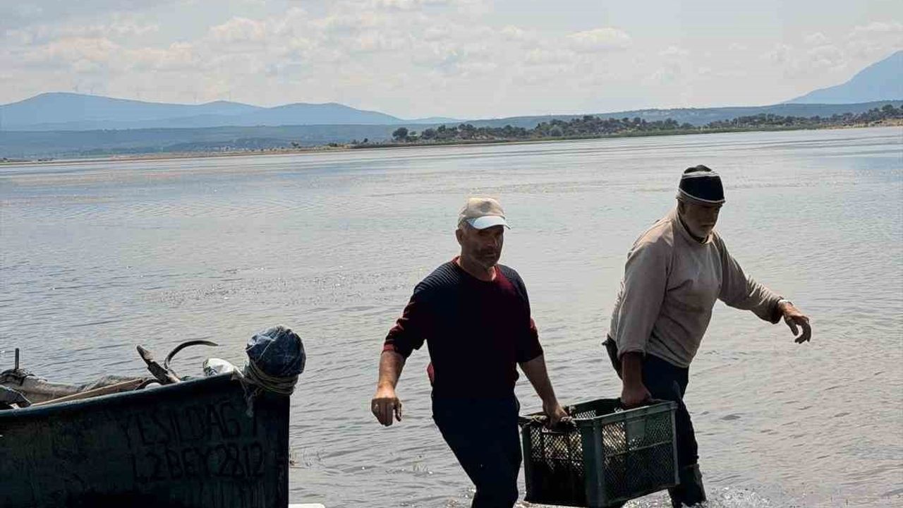 Beyşehir Gölü'nde avlanan balıklar tek tek kontrol edildi