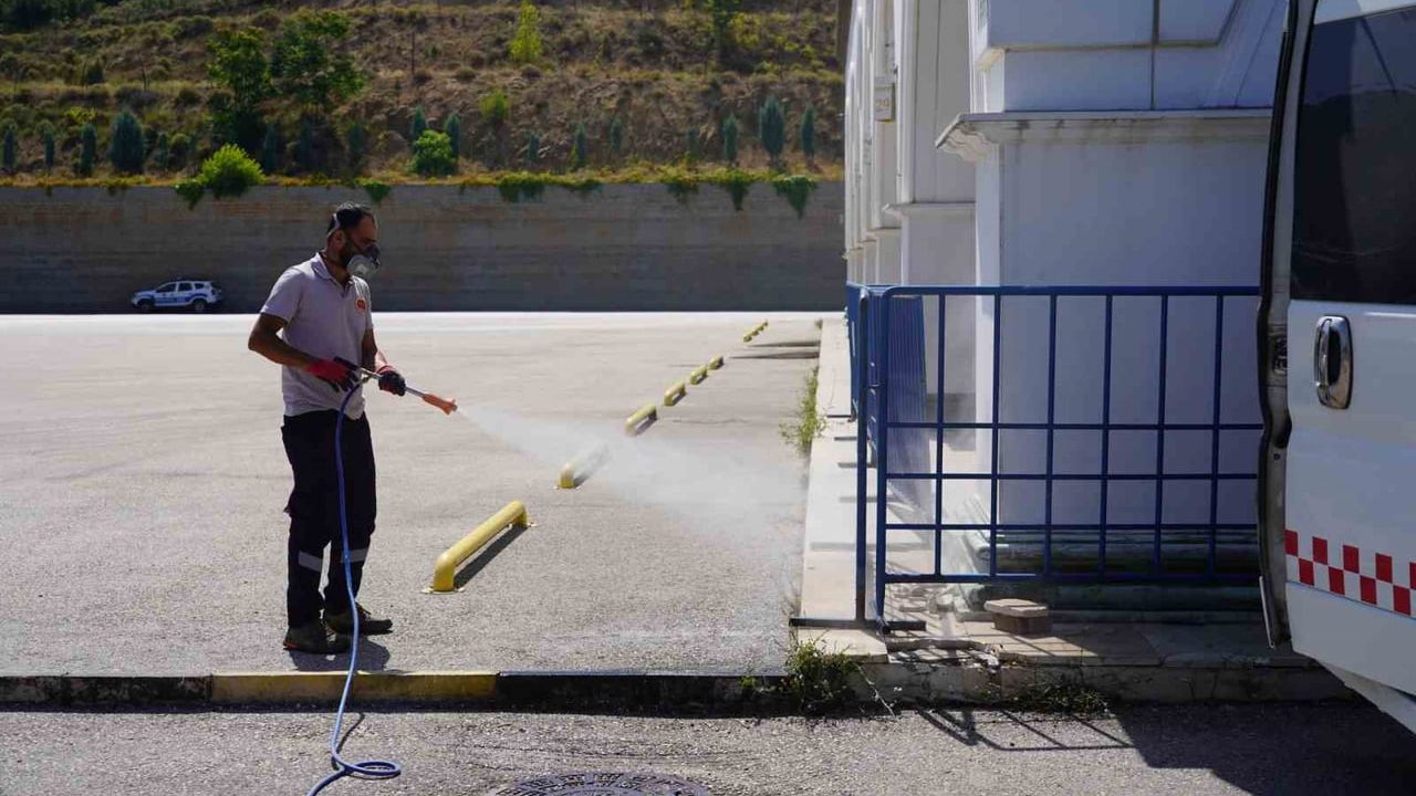 Bilecik Belediyesi'nden çekirgelere karşı erken önlem