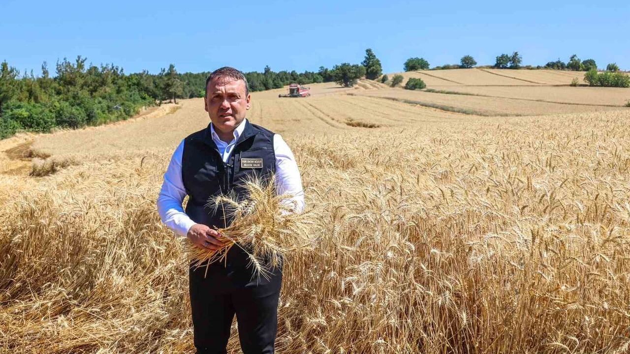 Bilecik'te 335 bin dekarda 167 bin 500 ton buğday beklentisi