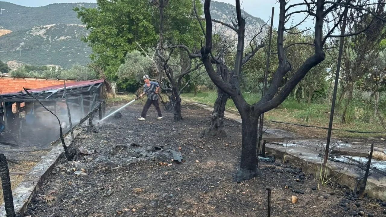 Bilecik'te ahır yangını: hayvan olmadığı için faciadan dönüldü