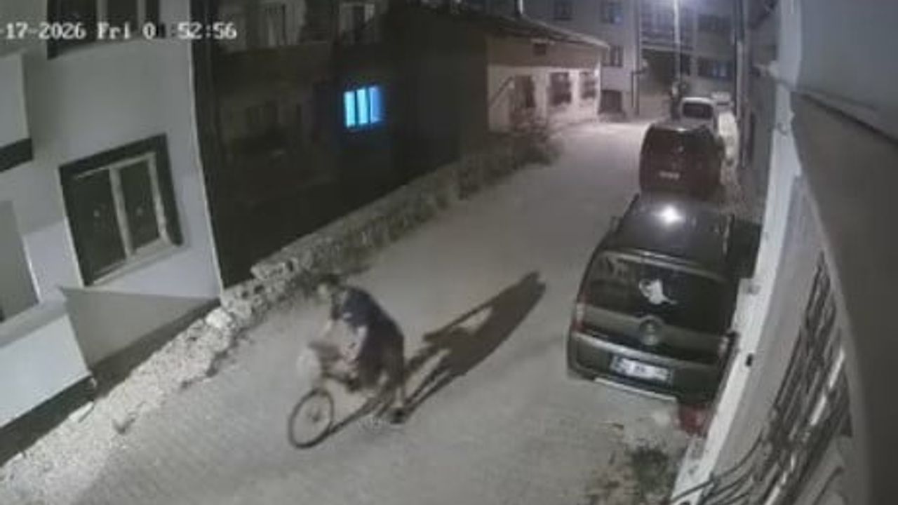 Bilecik'te apartmana girip ayakkabı ve bisiklet çalan şüpheli tutuklandı